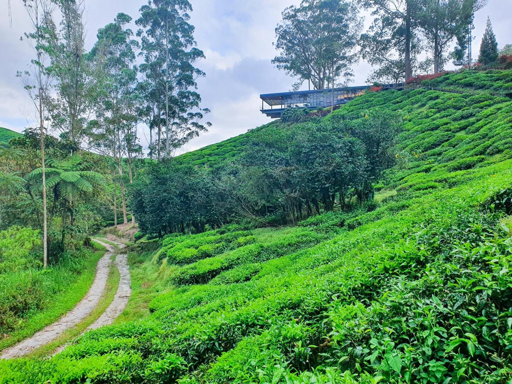 Pangsapuri Mossy Forest Family Retreat Iv, 2-3pax, Kea Farm, Cameron Highlands
